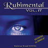 Ronald Rubinel - Rubimental Vol.2 album cover