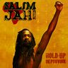 Salim Jah Peter - Hold-up de pouvoir album cover
