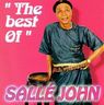 Sallé John - The Best Of Sallé John album cover