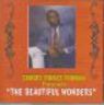 Samuel Fornah - The Beautiful Wonders album cover