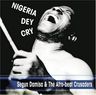 Segun Damisa - Nigeria Dey Cry album cover