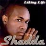 Shadda - Liking Life album cover