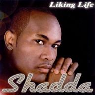 Shadda - Liking Life album cover