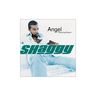Shaggy - Angel (feat. Rayvon) album cover