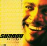 Shaggy - Hot Shot album cover