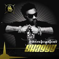 Shaggy - Intoxication album cover