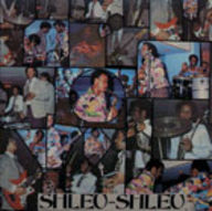 Shleu-Shleu - A New-York album cover
