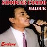 Shoogar Combo - Evelyne album cover