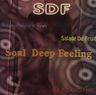 Silo - Soul Deep Feeling album cover