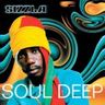 Sizzla - Soul Deep album cover