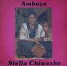 Stella Chiweshe - Ambuya ? album cover