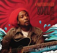 Taj Weekes - A Waterlogged Soul Kitchen album cover