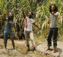 The Congos