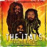 The Itals - In a Dis Ya Time album cover