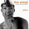 Tim Winsé - Zessa album cover