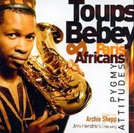 Toups Bebey - Pygmy attitudes album cover