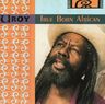 U Roy - True Born African album cover