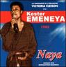 Victoria Eleison - Naya album cover