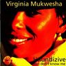Virginia Mukwesha - Haundizive album cover