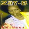 Zay-B - Kufa na kuzikana album cover