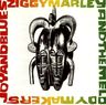 Ziggy Marley - Joy And Blues album cover