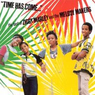 Ziggy Marley - Time Has Come album cover