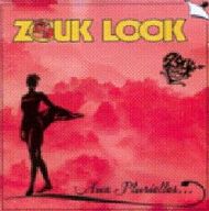Zouk Look - Aux Plurielles album cover