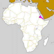 Brazzaville carte